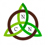 Logo nuits celtiques